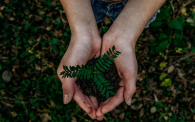 5 Ways to Become More Eco-friendly Today
