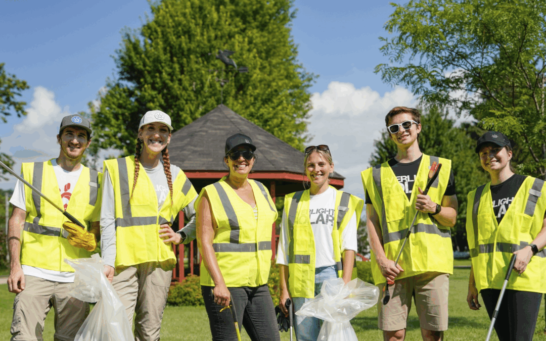 Work at Everlight Solar and Build a Career in Solar Energy